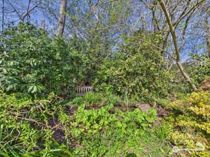 Stream- click for photo gallery